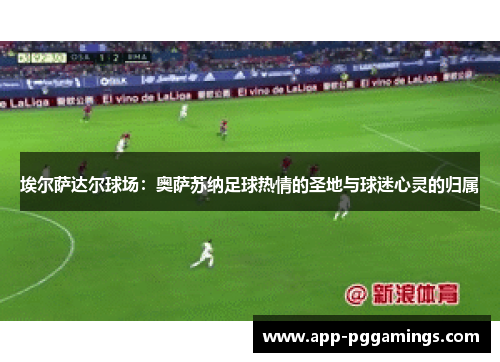 埃尔萨达尔球场：奥萨苏纳足球热情的圣地与球迷心灵的归属