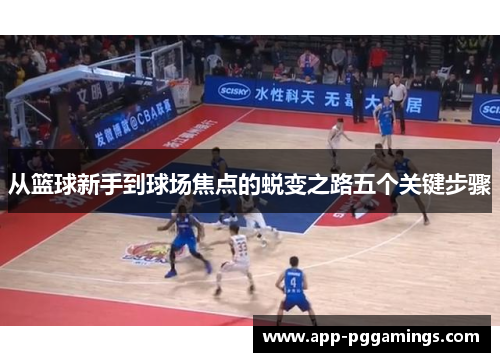 从篮球新手到球场焦点的蜕变之路五个关键步骤