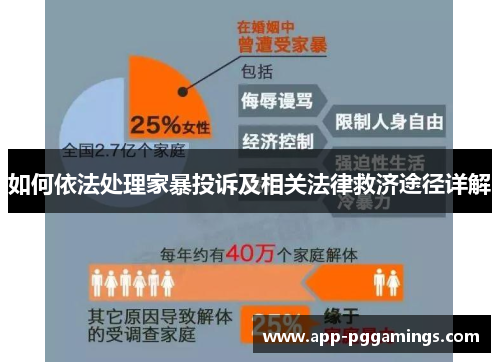 如何依法处理家暴投诉及相关法律救济途径详解