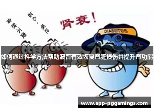 如何通过科学方法帮助波普有效恢复肾脏损伤并提升肾功能