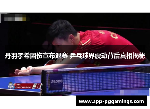 丹羽孝希因伤宣布退赛 乒乓球界震动背后真相揭秘