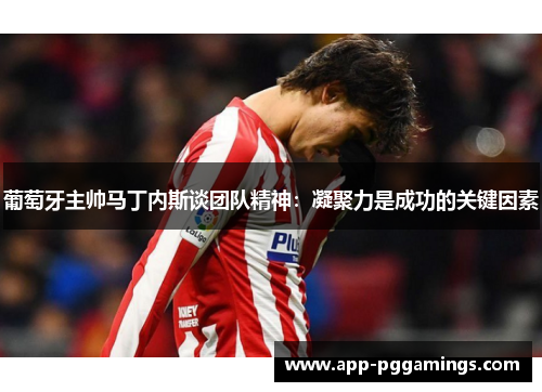 葡萄牙主帅马丁内斯谈团队精神：凝聚力是成功的关键因素