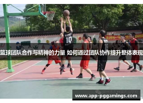 篮球团队合作与精神的力量 如何通过团队协作提升整体表现 篮球团队合作与精神的力量 如何通过团队协作提升整体表现