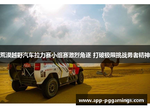 荒漠越野汽车拉力赛小组赛激烈角逐 打破极限挑战勇者精神