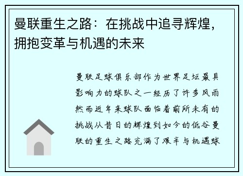曼联重生之路：在挑战中追寻辉煌，拥抱变革与机遇的未来